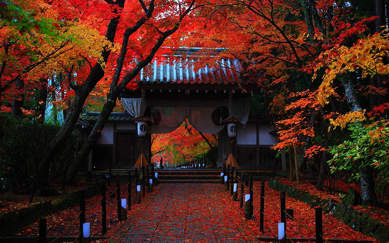 Temple In Autumn Into Japan