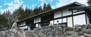 Zenagi