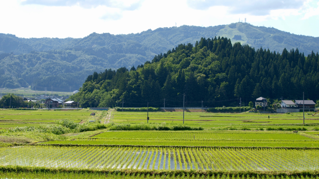 Mountains of Niigata 