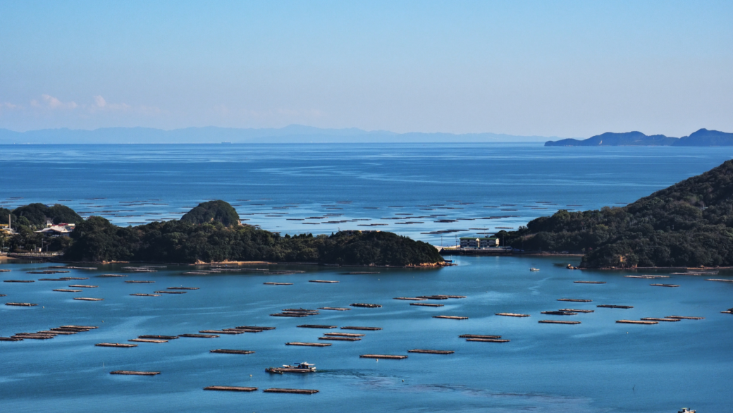 oyster farm
