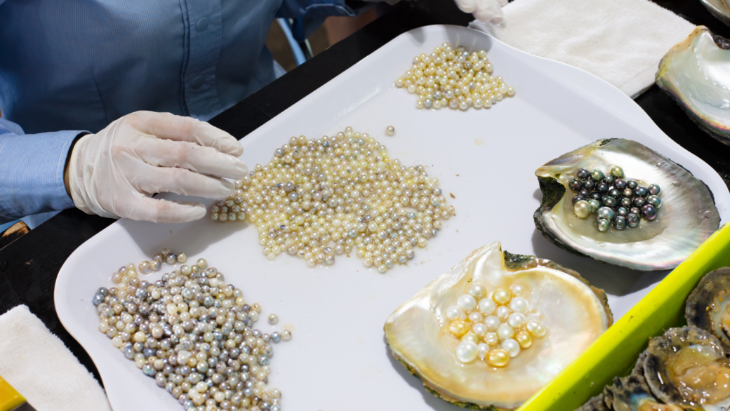 selecting the 
perfect pearls
