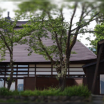 Omoya