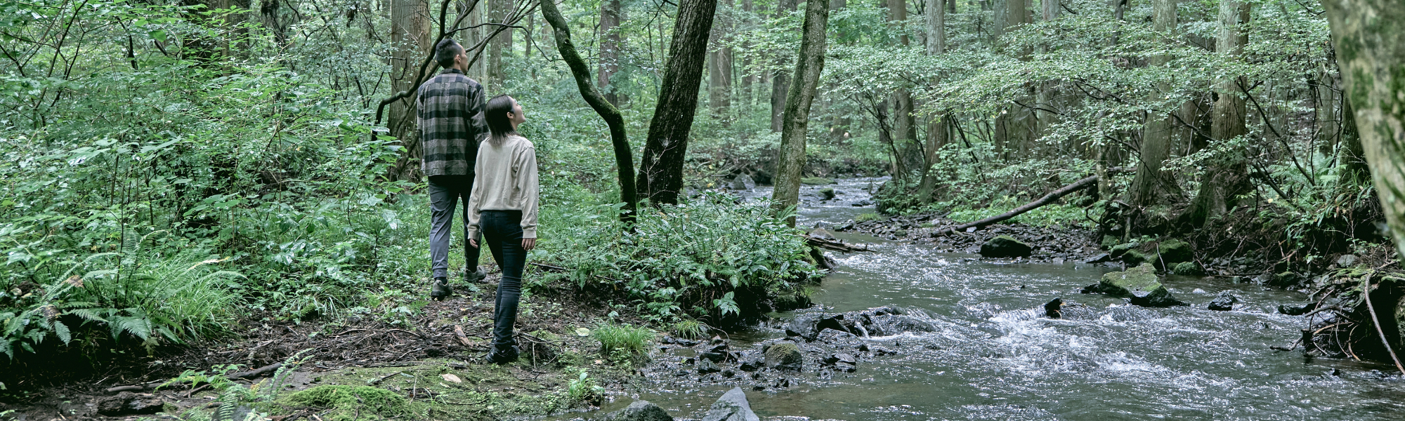 Couple walking through the wood, Azuma Farm Koiwai 
